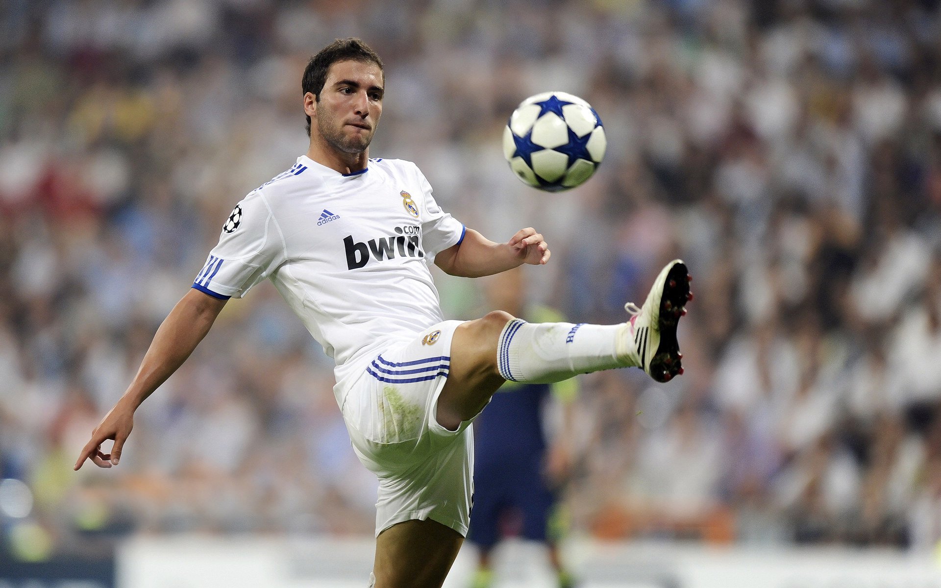 开云集团中国官网-广东队引进外援提升球队整体竞争力，广东队外援资料