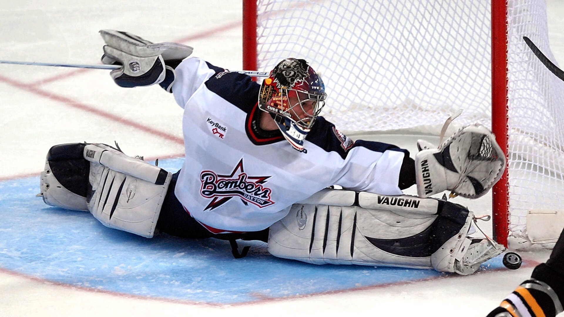 多米尼加排球运动不断吸引新粉丝，多米尼加排球队